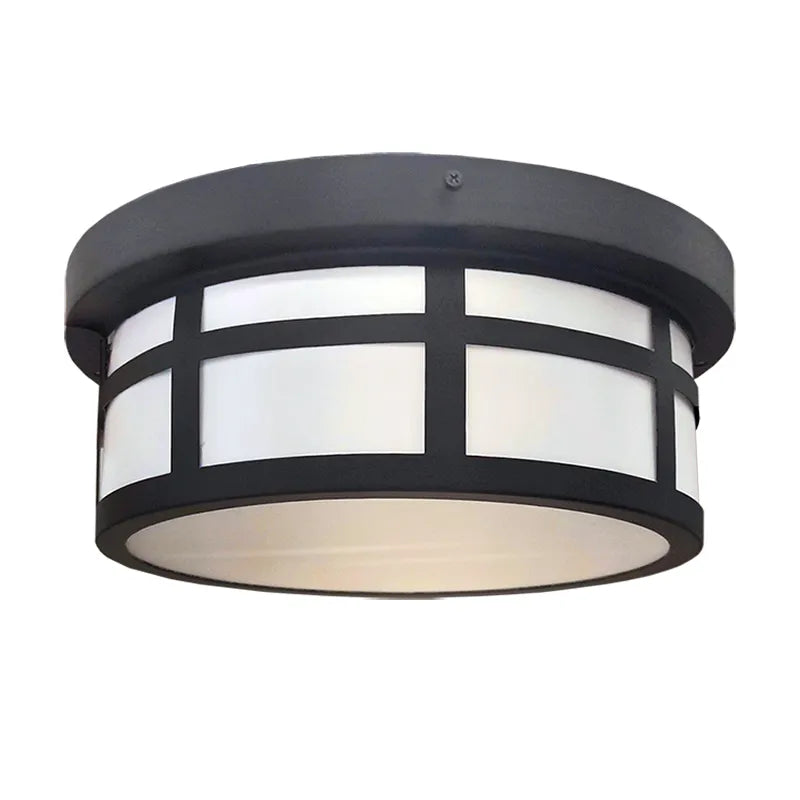 RGB 13" Outdoor/Indoor Ceiling Light, 25W