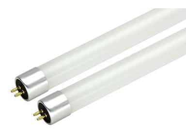 Rosefarve penge bladre Maxlite 25W 5000K Single or Double-Ended T5 LED Bulb, Ballast Bypass (Only  sold in cases of 25) | Green Lighting Wholesale