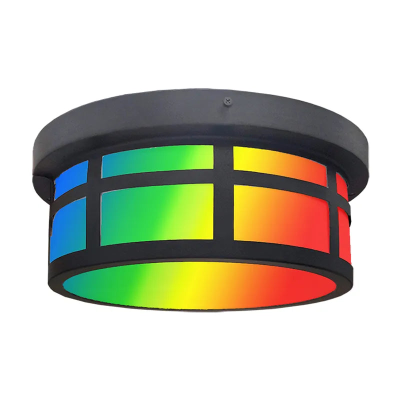 RGB 13" Outdoor/Indoor Ceiling Light, 25W